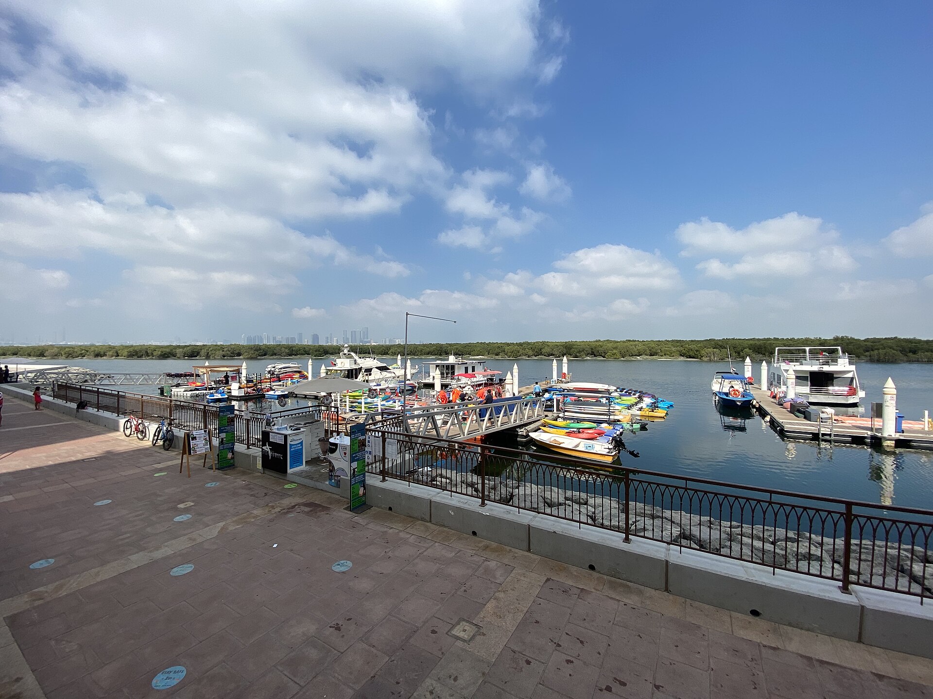 Eastern Mangroves