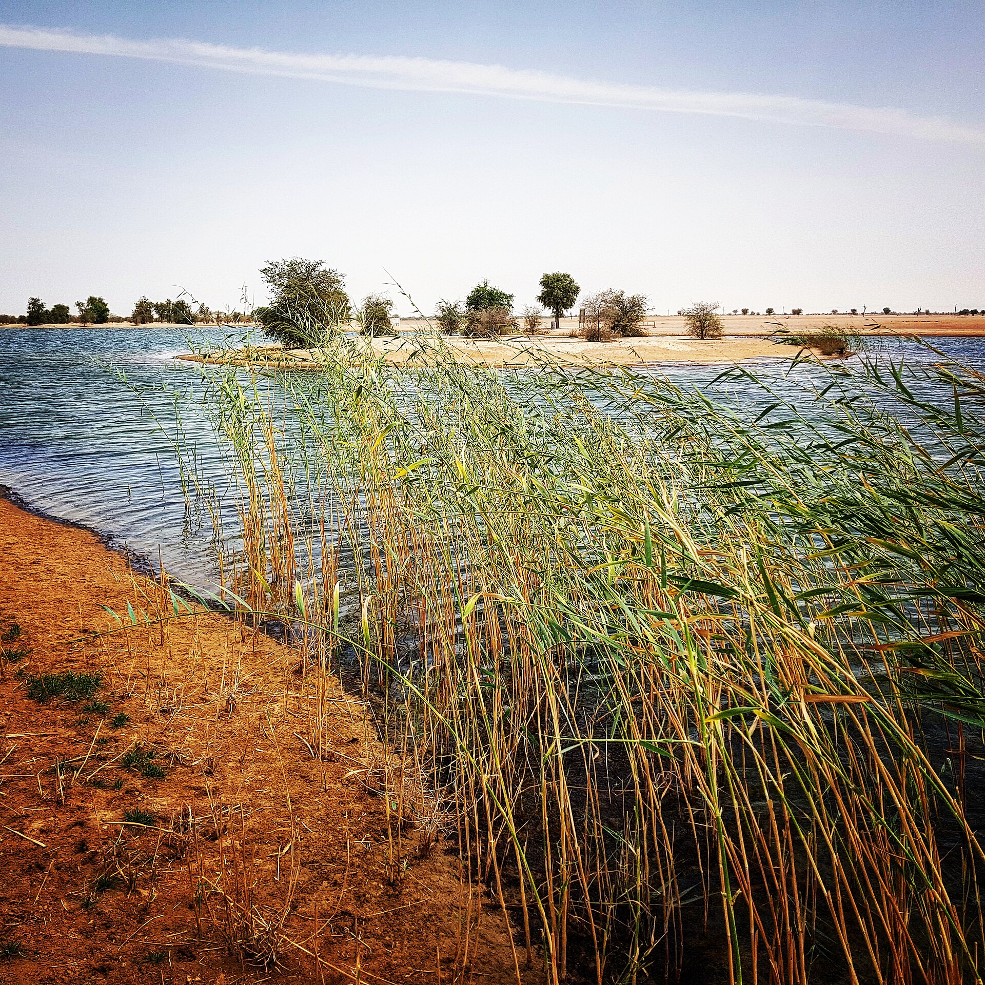 Al Marmoom / desert edge