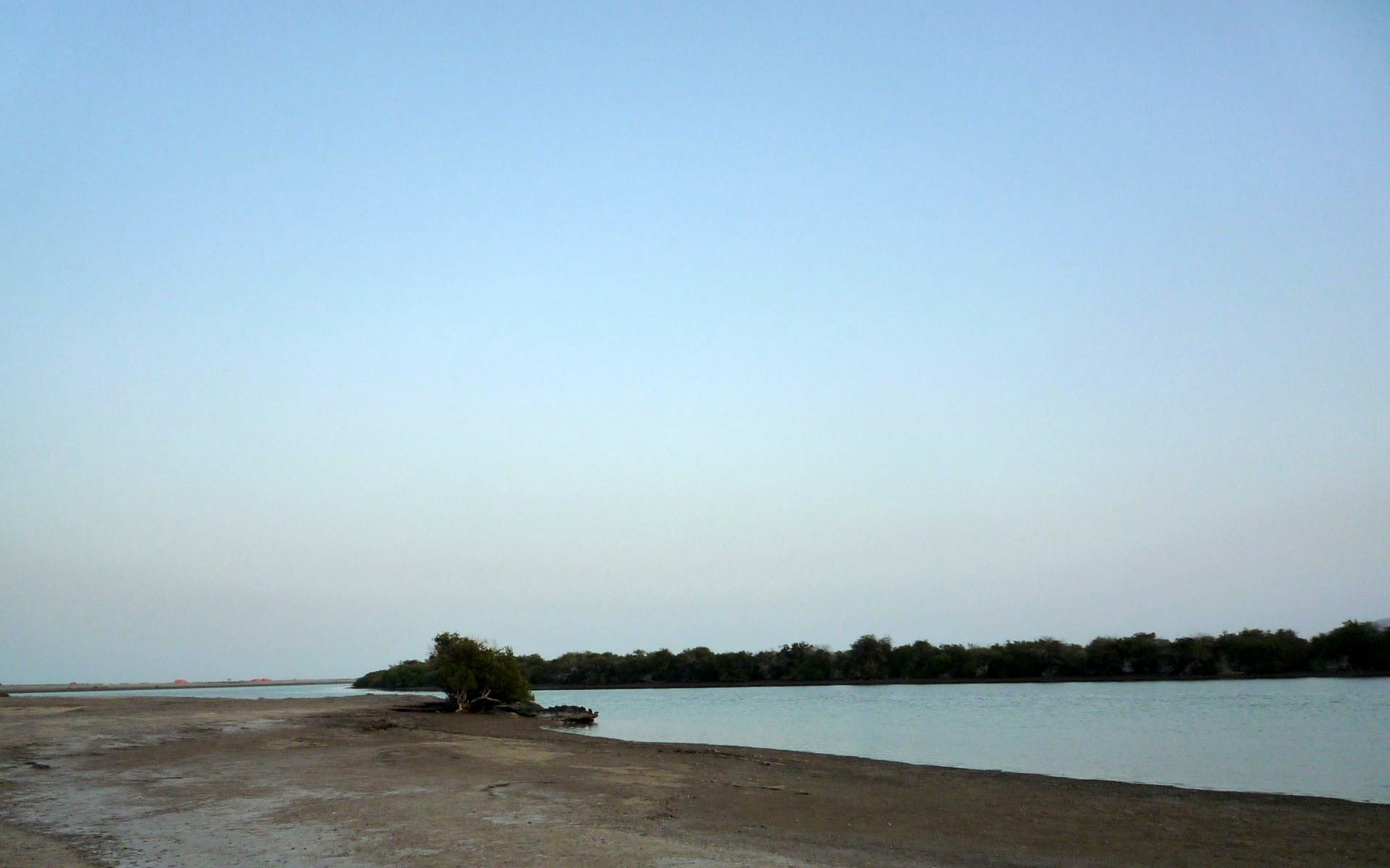Kalba mangroves