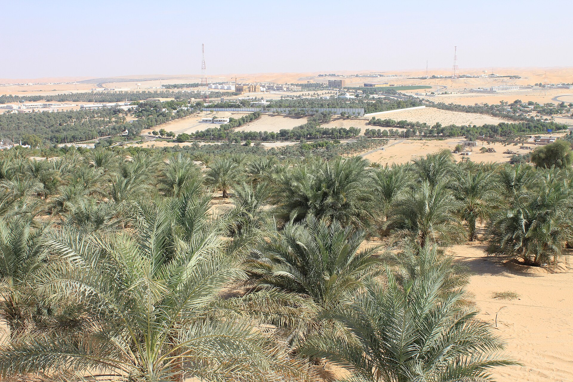 Liwa Oasis arc