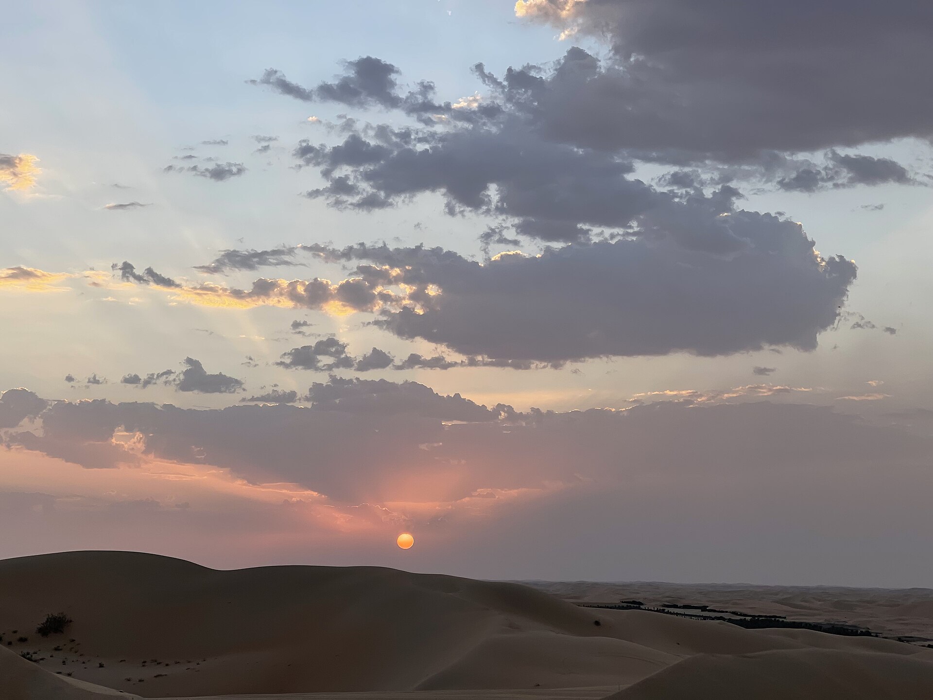 Desert night