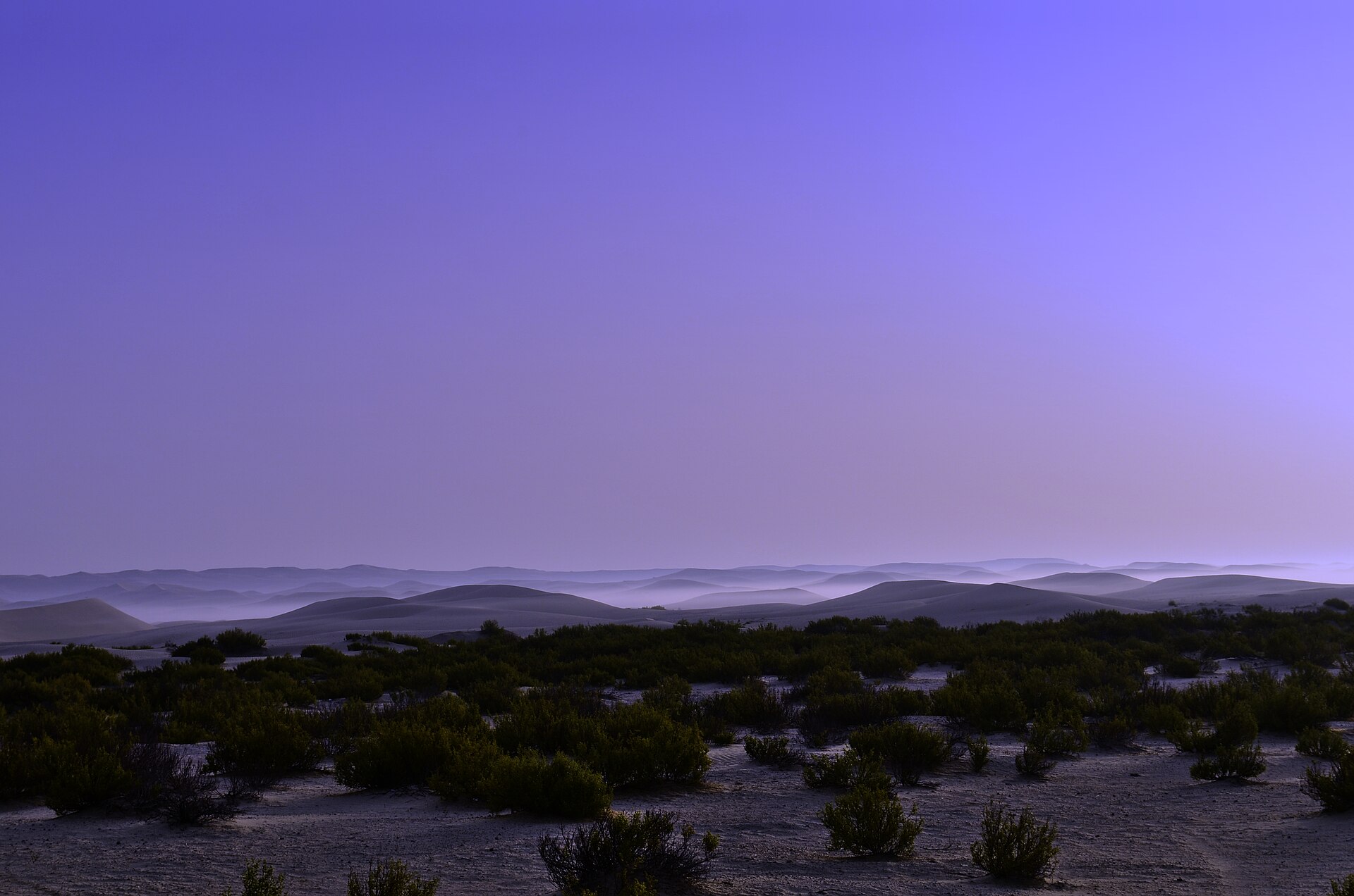 Road across Al Dhafra