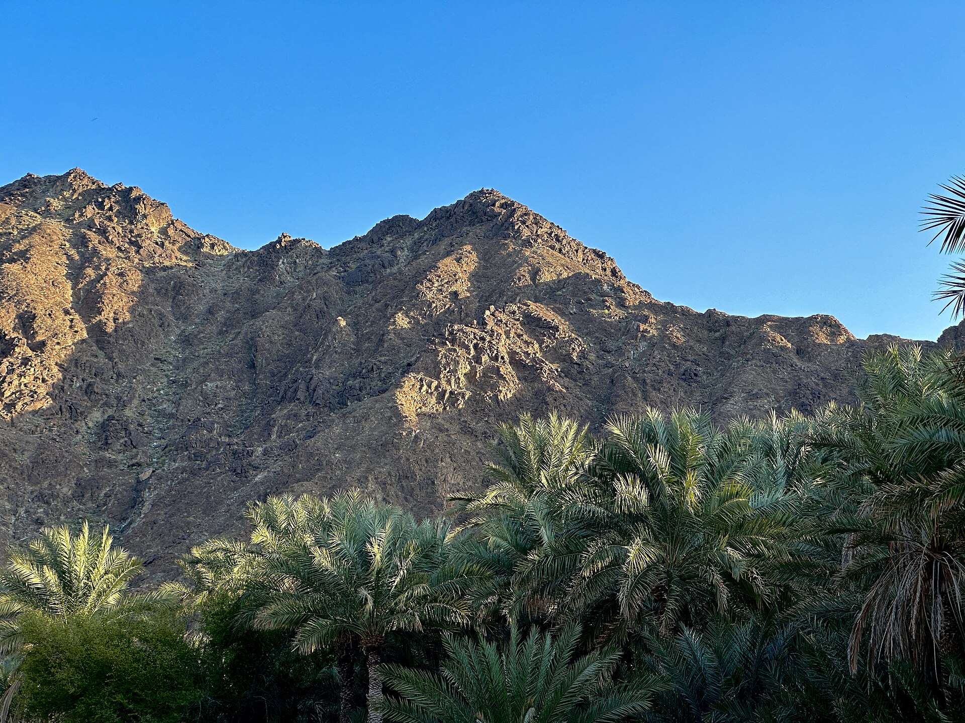 Wadi / foothills